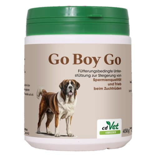 Go Boy Go fra 4Breeder